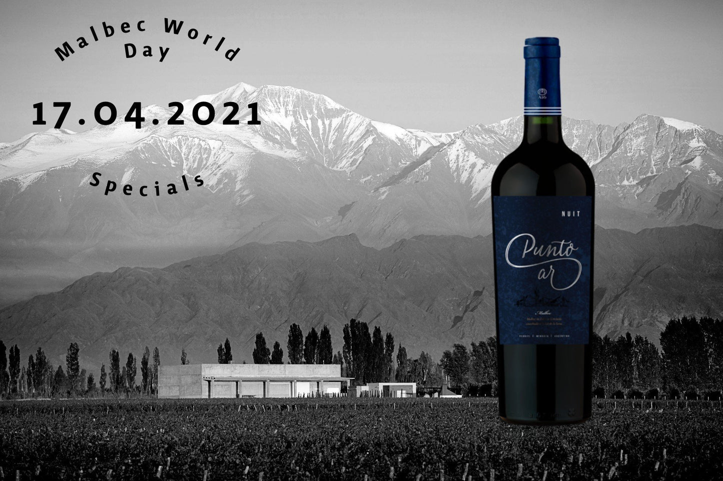 A16 Punto.AR Malbec Nuit - Mi-bodeguita.com