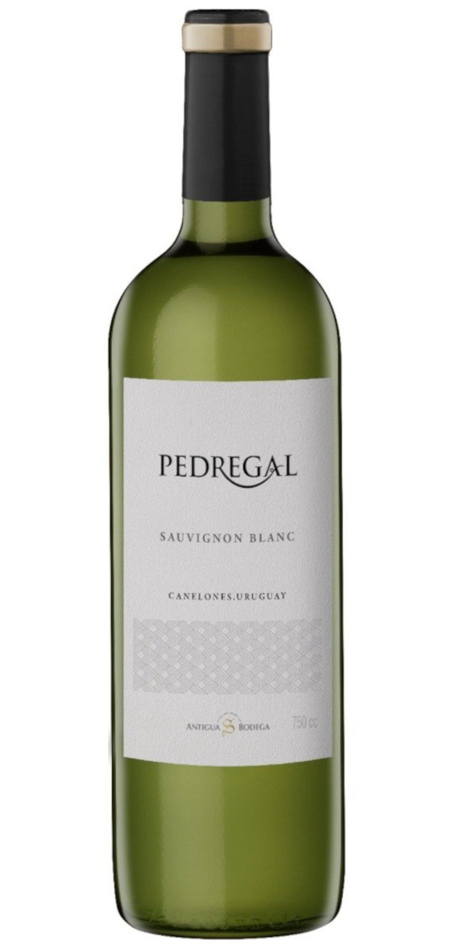 Antigua Bodega Pedregal Sauvignon Blanc - Mi-bodeguita.com